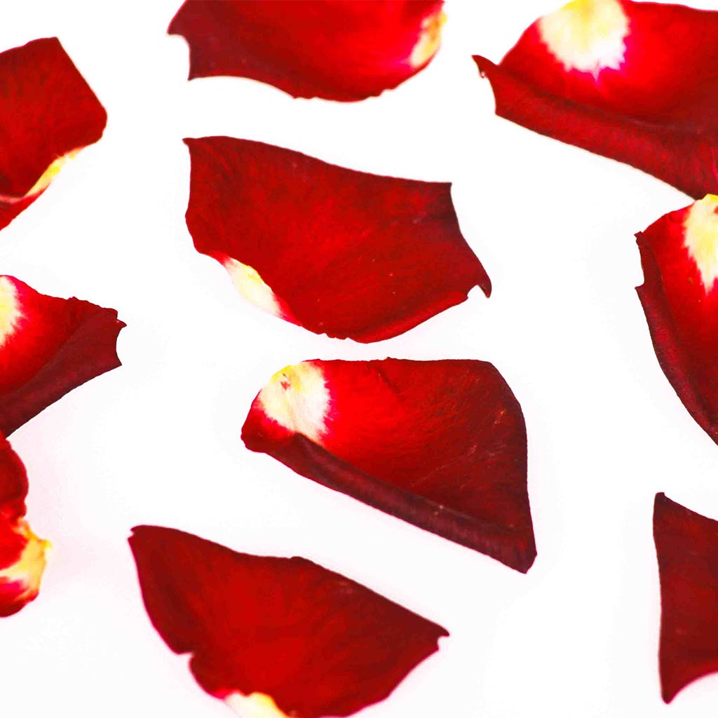 Rich red freeze dried edible rose petals dried red edible rose petals