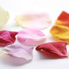 Sample of Rose Petals