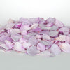 Lilac Rose Petals