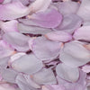 Lilac Purple Rose Petals