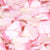 Strawberry Pink™ Freeze Dried Rose Petals