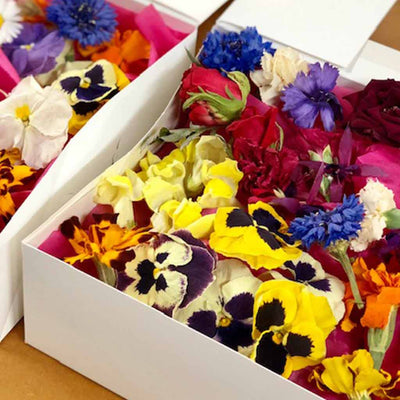Bright Vivid Freeze Dried Edible Flowers