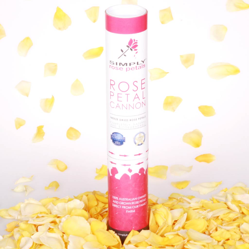 Yellow Freeze Dried Rose Petal Cannon