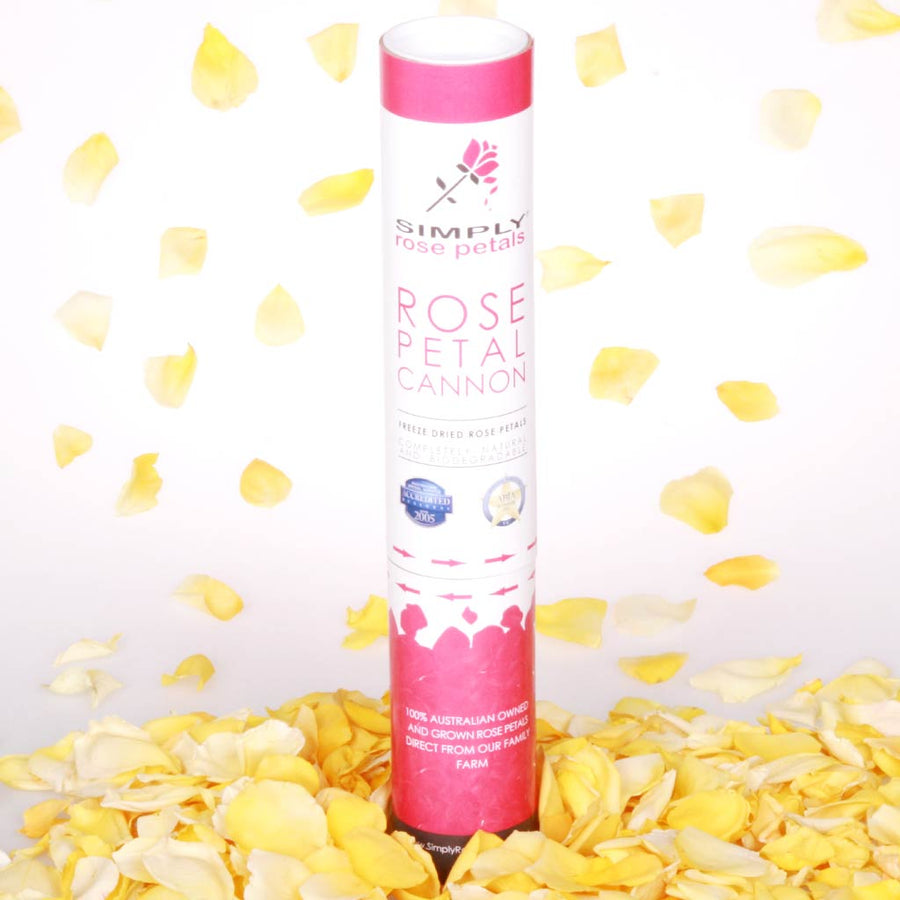 Yellow Freeze Dried Rose Petal Cannon