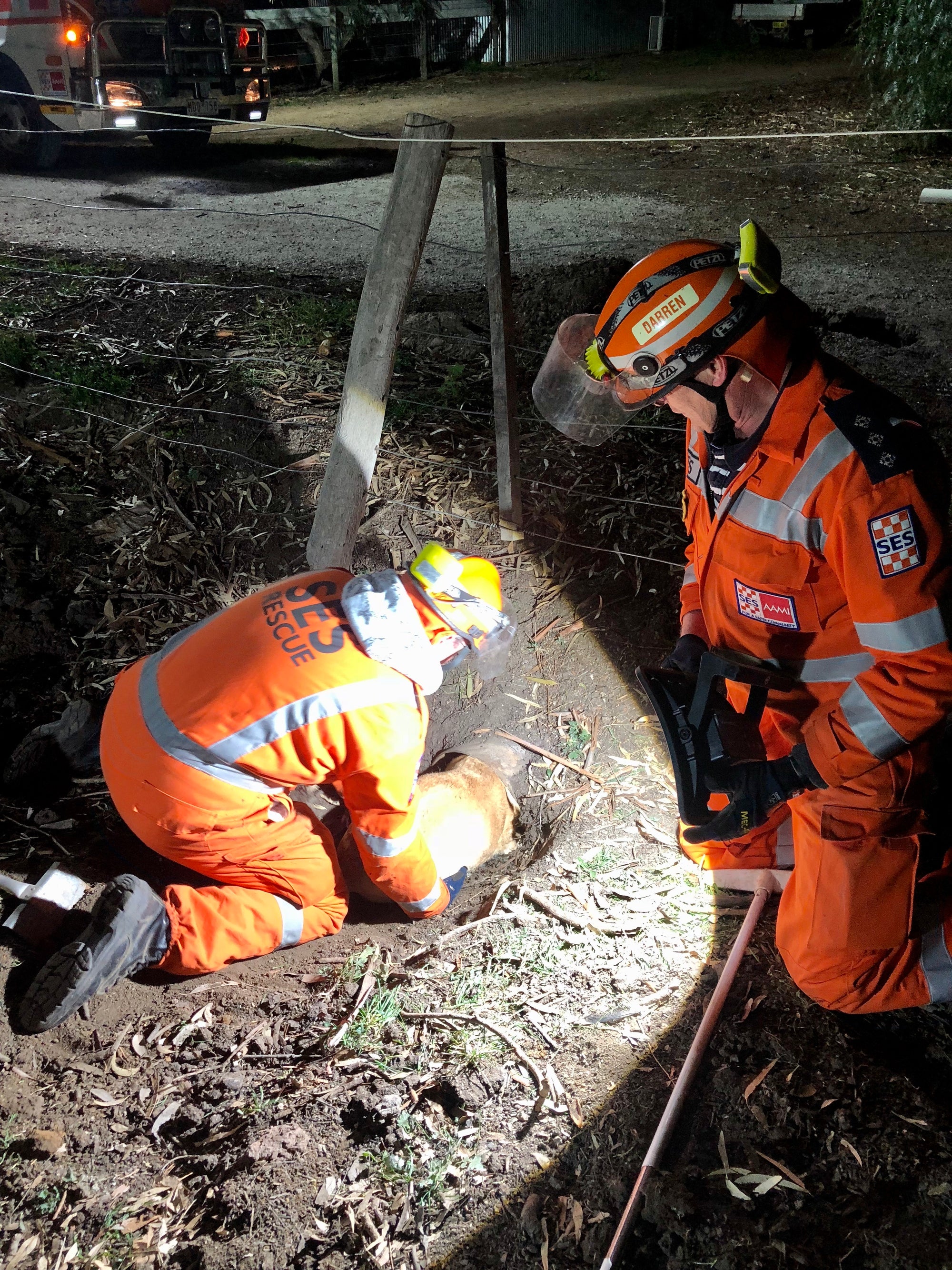 Exclusive Orange Edible Roses for SES Rescue