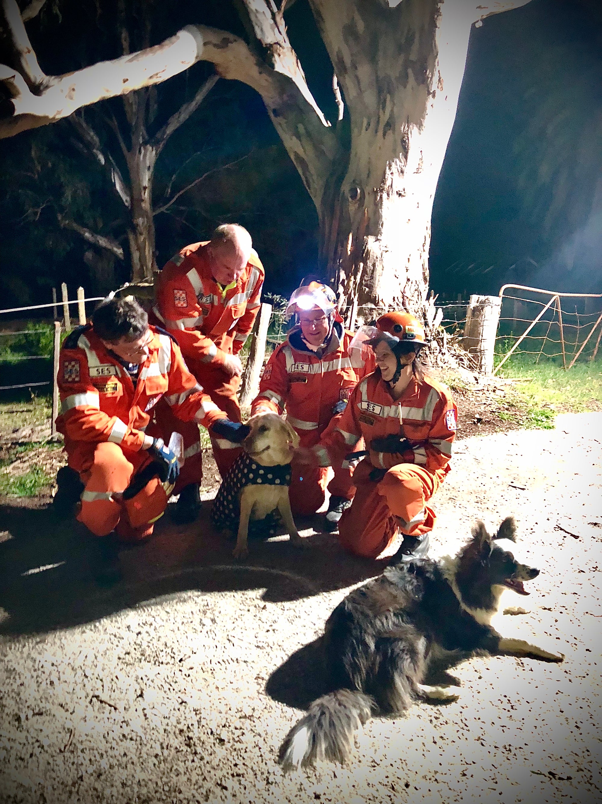 Exclusive Orange Edible Roses for SES Rescue